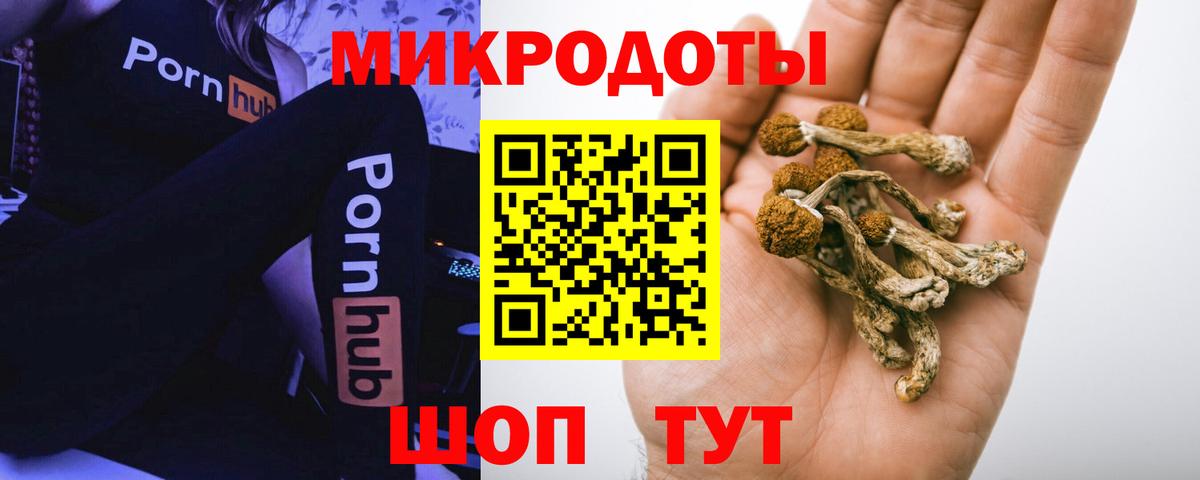 Коломна  Псилоцибиновые грибы Cubensis  купить закладку  Вход с VPN  Галлюциногенные грибы мицелий 
